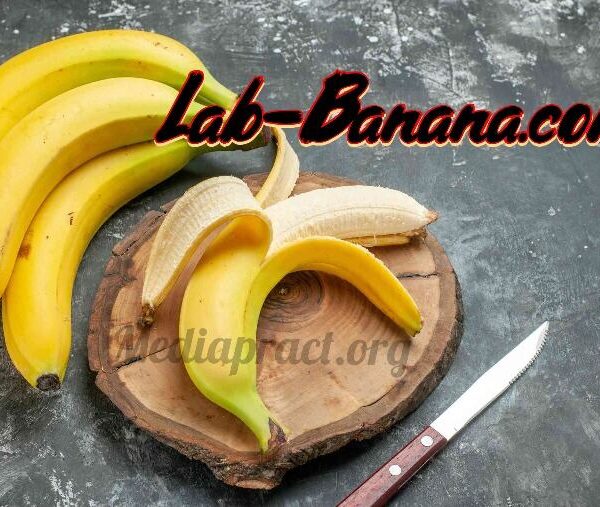 Lab-Banana.com