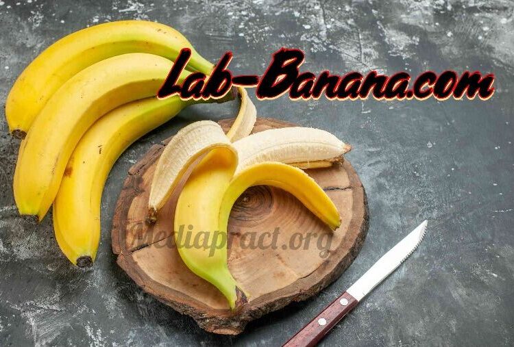 Lab-Banana.com