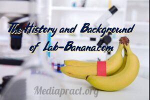 The History and Background of Lab-Banana.com