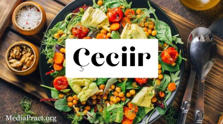 Çeciir: A Journey Through Turkish Cuisine and Culture