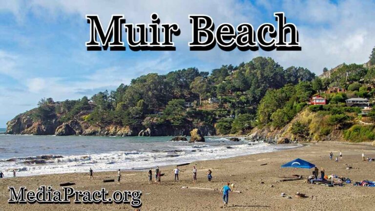 Muir Beach: Plan the Perfect Trip with These Tips