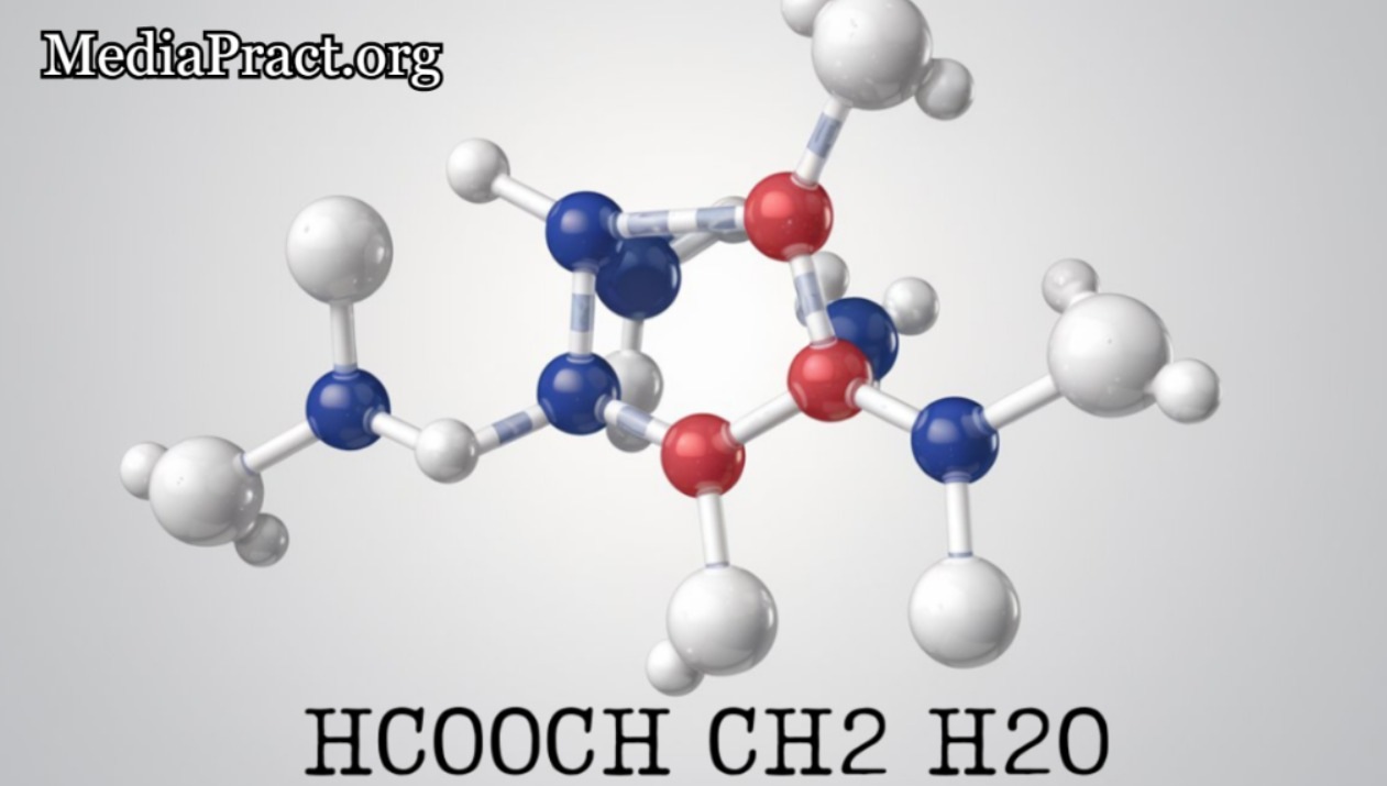 Similar Compounds and Their Importance