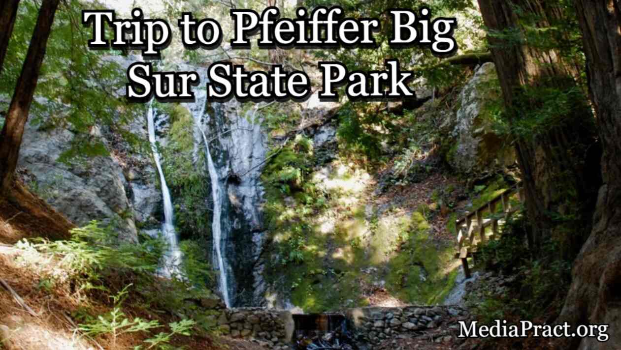 Best Time to Visit Pfeiffer Big Sur State Park