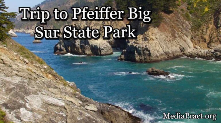 Trip to Pfeiffer Big Sur State Park: Tips for an Unforgettable Experience