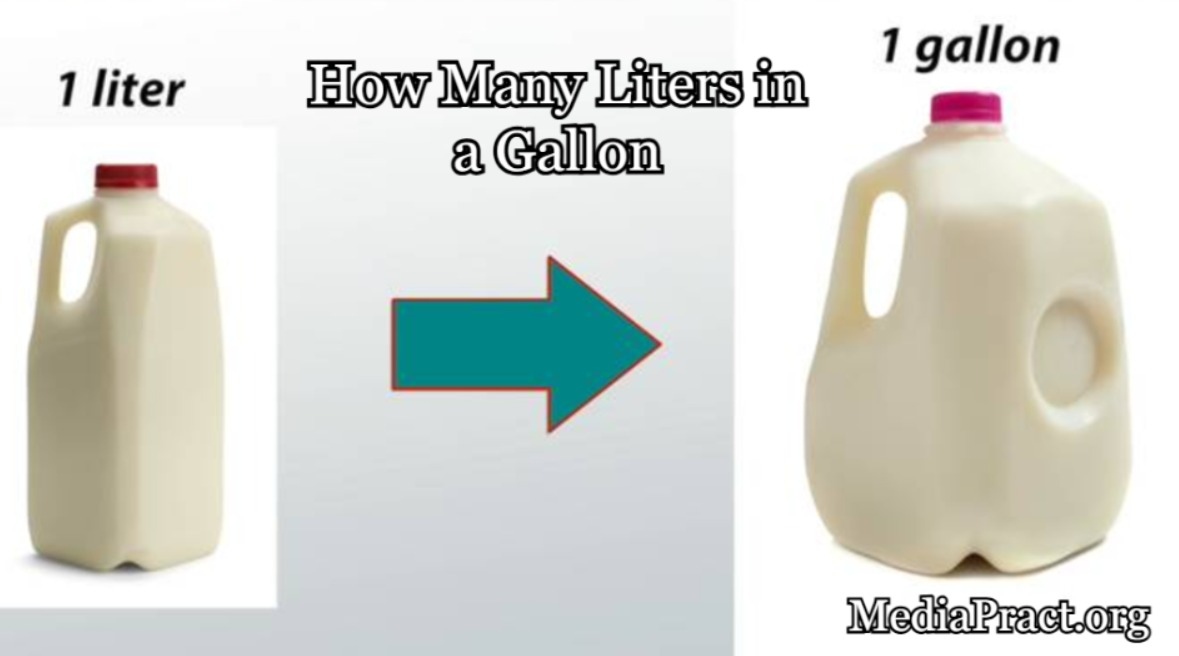 What is a Gallon